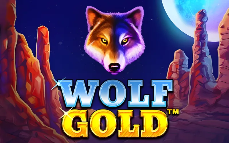 Cadastre-se no site da Roobet e aproveite o bônus de boas-vindas para jogar Wolf Gold.